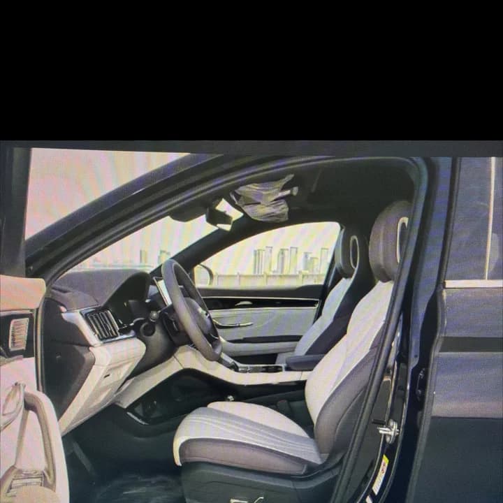BYD Song Plus DM-i view 6